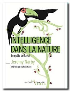 Intelligence Dans La Nature
