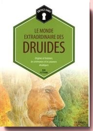 Le monde extraordinaire des druides