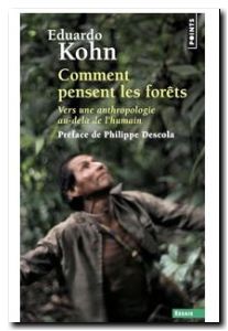 Comment pensent les forêts