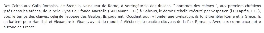 Les Gaulois. Le Temps Des Glaives