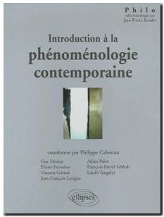 Introduction à la phénoménologie contemporaine