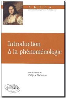 Introduction à la phénoménologie