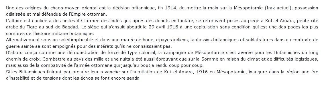 1916 en Mésopotamie