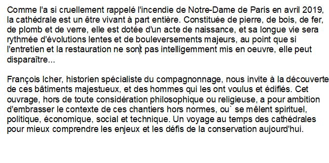 cathedrales le temps de l'oeuvre