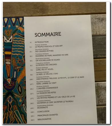 Visions Huichol - sommaire livre