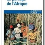 Le Partage de l&rsquo;Afrique :  1880-1914,  Henri Wesseling