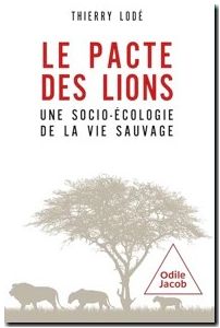 Le pacte des lions - Une socio-écologie de la vie sauvage