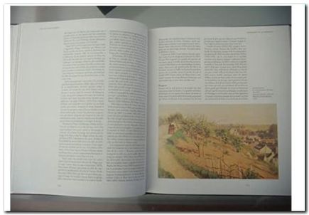 la peinture française rosenberg - page 100