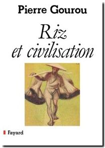 Riz et civilisation