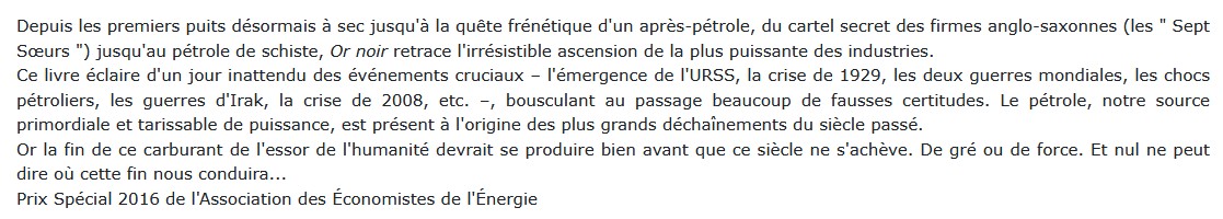 Or noir - La grande histoire du pétrole, Matthieu Auzanneau 