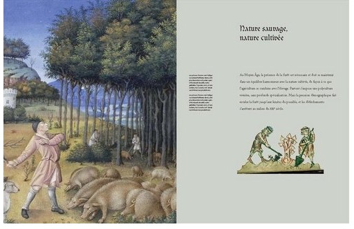 Le Moyen Age - page 16